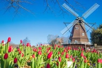 「市内で3回引っ越した」住みやすいと思う「千葉県の街」ランキング1位に「都心に30分で行ける」「新しさと歴史が共存し続けている点が最大の魅力」などの声
