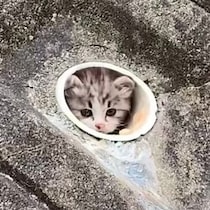 【画像】4年後の姿