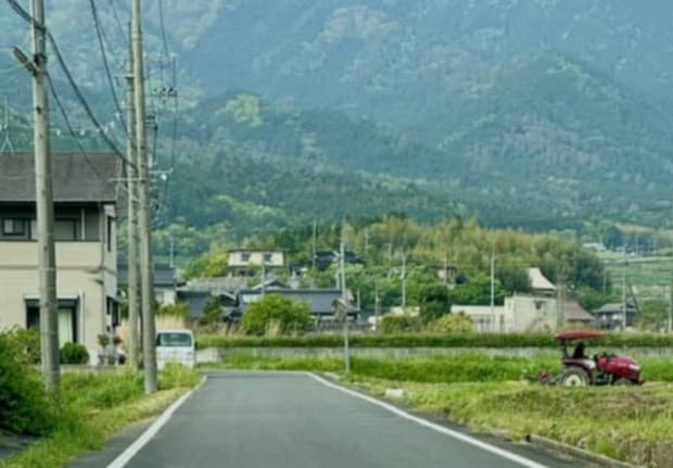 実家に帰省中→道路の真ん中でケンカしていたのは……　“まさかの生き物”に「どいて〜ww」「初めて見た」