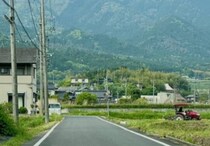 実家に帰省中→道路の真ん中でケンカしていたのは……　“まさかの生き物”に「どいて〜ww」「初めて見た」