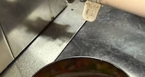 【画像】スイートフェンネルを見る
