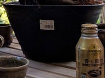 【画像】貫禄ある姿
