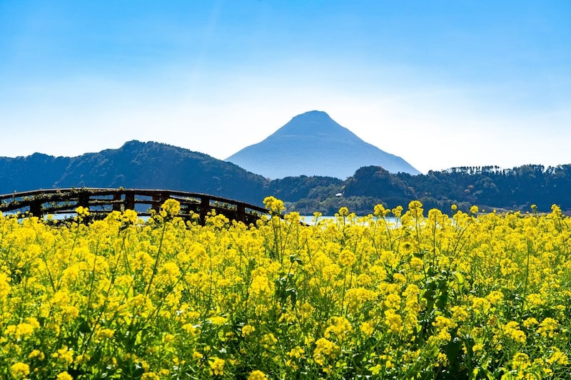 【関西在住者に聞いた】二番目に有名だと思う「鹿児島県の市町村」ランキング！　2位は「奄美市」、1位は？