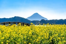 【関西在住者に聞いた】二番目に有名だと思う「鹿児島県の市町村」ランキング！　2位は「奄美市」、1位は？