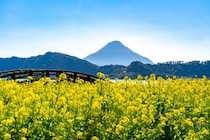 【画像：ランキング13位～1位を見る】