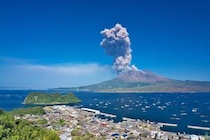 「和菓子でいちばん好き」買ってきてほしい“鹿児島県のお土産”ランキング上位の銘菓に「メタメタおいしかった。何、これ！？」「このためだけに鹿児島に行く」の声