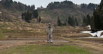 新潟の畑付近で「カカシ」を発見→近づいたら……　「何これ」目を疑う光景に「怖すぎる」「誰？」