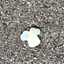 道端で「ミッキー」発見→そう思って近づくと……　「うわぁぁあああ!!!」まさかの正体に「見逃すとこやったわ」「多分、、あいつだよね？」