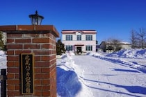 「北海道で一番買うべきお土産」　“北海道の銘菓”に「いつ食べても本当に飽きない」「葉っぱの形もかわいい」