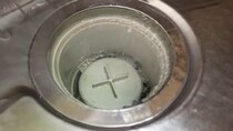 コポコポ音がするキッチン排水溝→中で“育っていた”のは……「手遅れになる前に要チェック」目を疑う光景に「凄いですね」