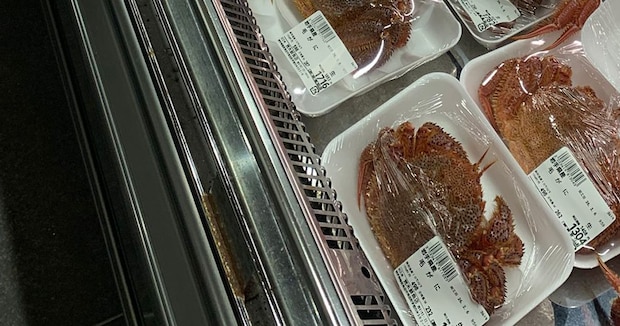 鮮魚店の経営者が売り場を見ると……　「やられた」→まさかの光景に「パニック」「無法地帯すぎる」