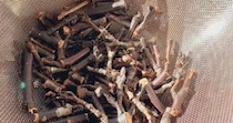 “桜の枝”を短くカット→煮出して布を染めたら……「すごおおおお」　“予想を裏切る結果”が52万表示　「こんないい色に」「本当に美しい」