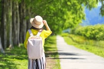 【60代に聞いた】「まだ行く予定がない都道府県」ランキング！　2位は「岩手県」、1位は？
