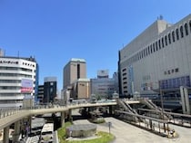 【画像：ランキング30位～1位を見る】