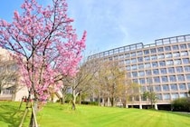 【画像：ランキング20位～1位を見る】