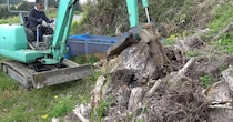 庭先に放置していた“大量の木材”→重機でどかした瞬間……　とんでもない光景に「無限に出てきますやん」「大興奮」