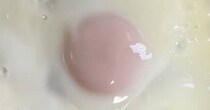 ママがケーキ作りで卵を大量消費→翌朝、高1娘が食べたのは……「すげぇな！」　とんでもない光景が150万表示「マッチョの朝飯かな」