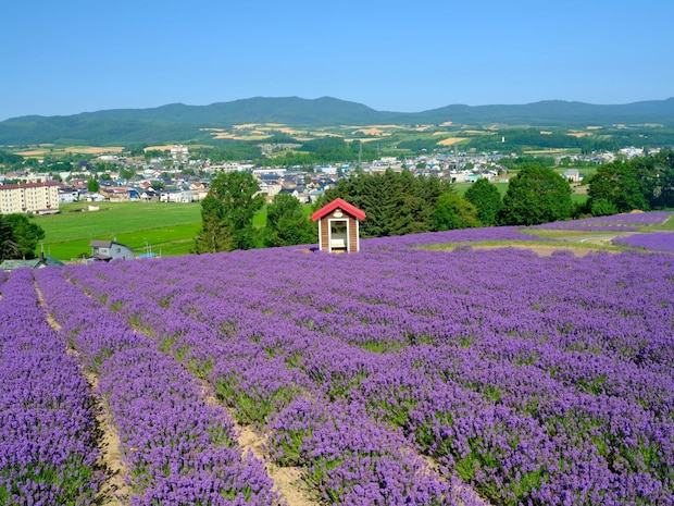 「空気がおいしい都道府県」ランキング! 関西地方在住者に聞いた第2位は「長野県」、1位は?