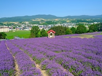 「空気がおいしい都道府県」ランキング！　関西地方在住者に聞いた第2位は「長野県」、1位は？