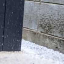 廃墟の隣に住む一家→ふと、自宅庭を見たら……　「ヒィィィィィィィ」目を疑う光景に「悲鳴あげた」「これは本気でヤバい」