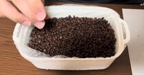 【画像】5カ月後を見る