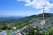 地元民しか読めないと思う「徳島県の市町村名」ランキングTOP20！　第1位は「佐那河内村」【2026年最新投票結果】