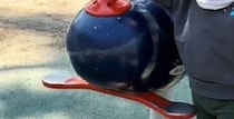 「公園着いた瞬間走って行った」1歳息子→ママが後を追うと……　“予想外の姿”が120万再生「最先端の遊び方」「ずっと見てられるw」