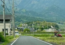 実家に帰省中→道路の真ん中でケンカしていたのは……　“まさかの生き物”に「どいて〜ww」「初めて見た」