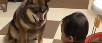 【画像】現在の姿