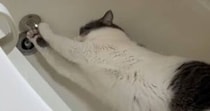 【動画】うるくんのかわいいイタズラ