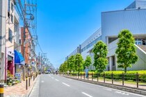 【画像：ランキング27位～1位を見る】
