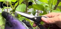 【画像】驚きのお手入れ術
