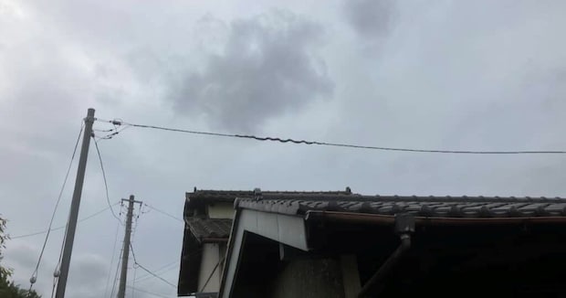 「なんかうちの電線、変だなぁ…」→よく見ると……　二度見不可避の“まさかの正体”に「私なら絶叫」「金運アップ！」
