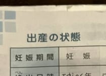 【画像】奇跡の光景