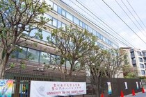 【画像：ランキング19位～1位を見る】