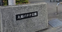【画像】まさかの光景