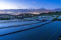 【画像】清月の「イタリアンロール」