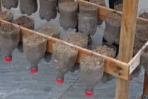 【画像】ペットボトルの活用法