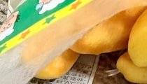 2歳児「ムシィィ コワイ」→ママが恐る恐る見に行くと……　まさかの光景に「こりゃ怖いなww」「どうしてそこに入ってしまったんだ!!!!」
