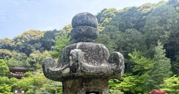 寺院の古びた灯籠を眺めていると……「にゃ～ん」　ぬるりと出てくる驚きの光景が「キャットタワーだったのか」「神様じゃん！！」