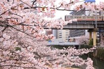 「東京の中で住みやすさ上位だと思う」永住したい“池上線沿いの街（駅）”1位に集まった声→「食の選択肢が豊富」「駅ビルも良くなりかなり便利」