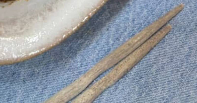 小5娘「日曜日はご飯作らなくていいからね」→ママが帰宅すると……　まさかの光景に「全米が泣いた」「子育て大成功ですね」