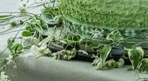 妹の結婚式に、パティシエの兄が本気で用意したのは……　唯一無二のプレゼントに「この上なく贅沢」「完成度が異次元」