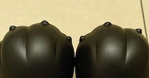 変わったサンダルをゲット→靴下のまま履いたら……「わぁ！」　“奇跡のジャストフィット”が80万表示　「かわいいw」「これほしい」