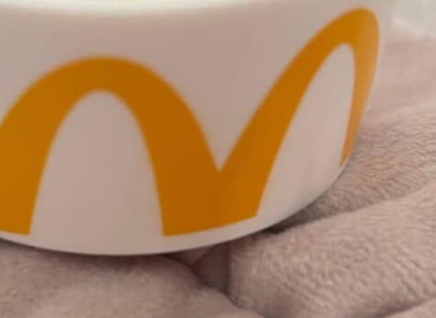 マクドナルドのハッピーセット→開けたら……「頭抱えちゃった」　大人もびっくりの“中身”に「笑ったww」「欲しくてたまらない」