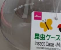 娘「これダイソーの虫かごなんだけど」→母大興奮の“じゃない使い方”に「可愛いのなんのって」「買いに行こ」