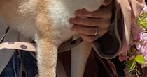 【画像】記事を読む