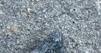 【動画】驚きの光景