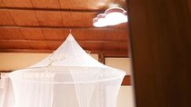 「じぶんのへやでひとりでねたい」娘のために一人部屋を作ると……　6畳和室が“プリンセスの部屋”に変身　子どもの“好き”が詰まった空間にほっこり