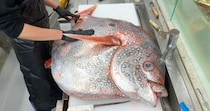 【画像】驚きの中身